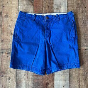 Mens Hollister Blue Cotton Shorts Size 33 Button Closure Belt Loops Casual Wear